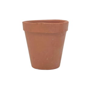 Earthen made Kulad