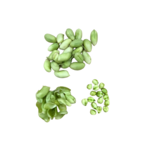 Fresh Green Chickpea