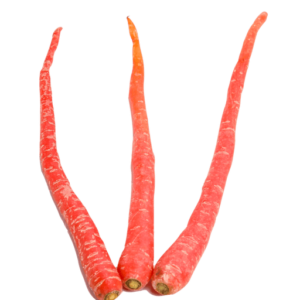 Indian carrot