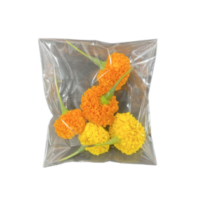 Marigold Flower