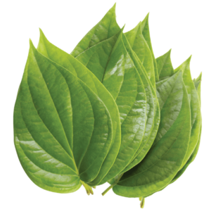 Paan leaf (Bettle Leaf)