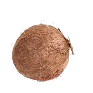 Pooja Coconut Fresh