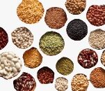 Pulses and lentils